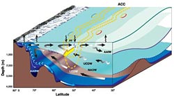 Schematic of the Southern Ocean Meridional Overturning Circulation