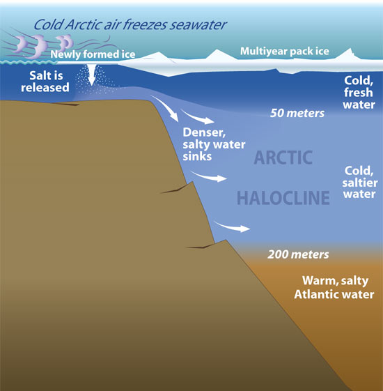 [Obrazek: halocline_18008.jpg]