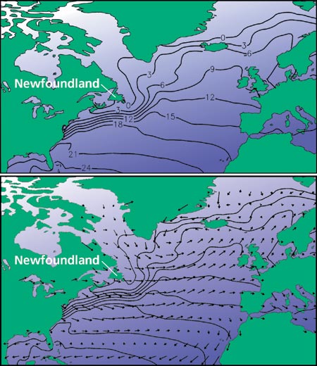 sea surface temps