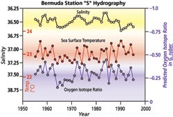 Bermuda Station S hydrography