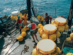 deep sediment trap samples