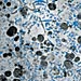 The Rain of Ocean Particles and Earth?s Carbon Cycle