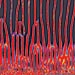 Melt Extraction From The Mantle Beneath Mid-Ocean Ridges