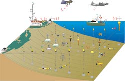 schematic of LEO instruments on the seafloor