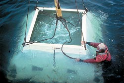 One of LEO's seafloor nodes is deployed.
