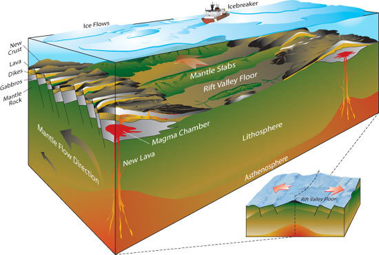 new seafloor crust