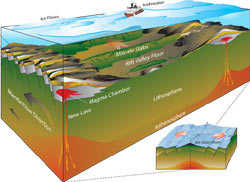 new seafloor crust