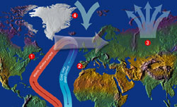 Short-circuiting the Ocean Conveyor