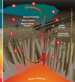 Hydrothermal Circulation