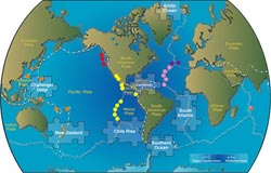 On the Seafloor, Different Species Thrive in Different Regions