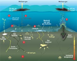 Scientists are discovering that abundant quantities of methane gas are continually seeping from the seafloor throughout the oceans.