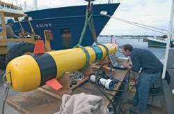 REMUS 600 
