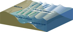 A Mess of Physics Near the Shore