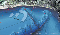 Nearshore Canyon Experiment