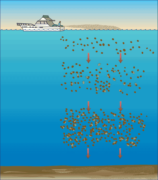 stade bon rencontre pologne