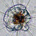 Revealing the Ocean's Invisible Abundance
