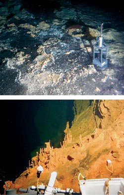 deep-sea microorganisms