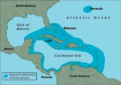 Nassau groupers map