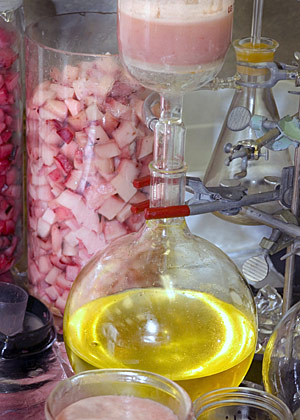 vacuum is used to suck fats