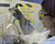 Emma Teuten pours concentrated sulfuric acid into flask full of fat-filled whale extract, turning the mixture black.