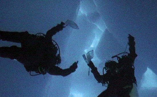 collect juvenile stages of krill