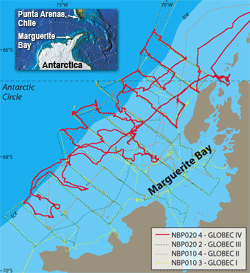 Southern Ocean GLOBEC cruises
