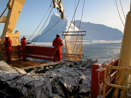 Tucker trawl to catch live krill