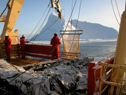 Tucker trawl to catch live krill