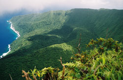 Rising 1,000 meters (3,000 feet) above the Samoan island of Ta'u, Mount Lata is an active volcano.