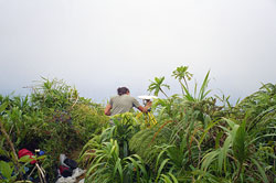 GPS measurements