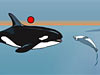 THE ANTARCTIC ECOSYSTEM 