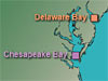 Returning to Their Natal Estuaries to Spawn 