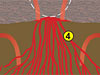 molten flow