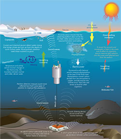 Monitoring an Ecosystem