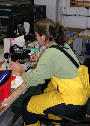 Deana Erdner examines water samples