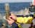 a sediment sample