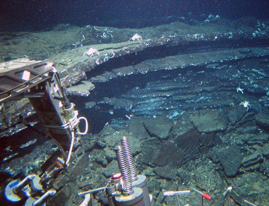 A vent site found during an expedition to the Galapagos Rift in June 2005
