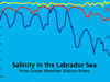 salinity in the labrador sea