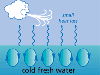 Great Salinity Anomaly