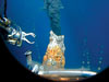 Alvin's manipulator reaches toward a black smoker chimney, seen through the sub's viewport, at 17 degrees S on the East Pacific Rise.