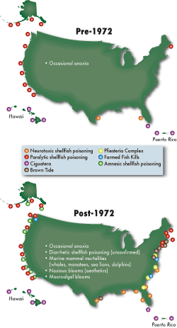Reports of harmful algal blooms in U.S. waters and around the world have drastically increased in the past three decades. Researchers attribute the increase partly to excessive nutrient pollution of the water and partly to better detection of HABs by coastal monitoring programs.