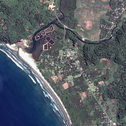 Gleebruk Village in Indonesia is lush with vegetation and teeming with human activitiy on April 12, 2004.