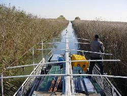 Researchers guide a boat through canals in the Danube Delta
