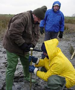 Geologist digs hole in Danube Delta