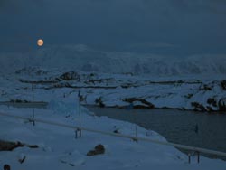 Looking out from Palmer Station, Antarctica, where the cable for the PRIMO observatory will be installed.