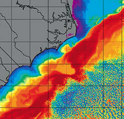 warm, salty Gulf Stream (red, orange, and yellow in map above) collides with a cold, fresh, southerly coastal current (dark blue).