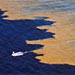 Harmful Algal Blooms
