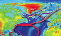 Rapid Freshening of North Atlantic Could Cool Northern Winters