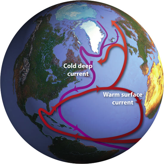 A global system of currents, often called the ?ocean conveyor,? carries warm surface waters from the tropics northward. At high latitudes, the waters cool, releasing heat to the atmosphere and moderating wintertime climate in the North Atlantic region. The colder (and denser) waters sink and flow southward in the deep ocean to keep the conveyor moving.