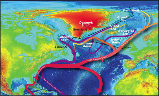 Cold, dense waters that propel the ocean conveyor form and accumulate in strategic locations in the North Atlantic?in the Greenland, Iceland, and Norwegian Seas and in the Labrador, Irminger, and Iceland Basins.